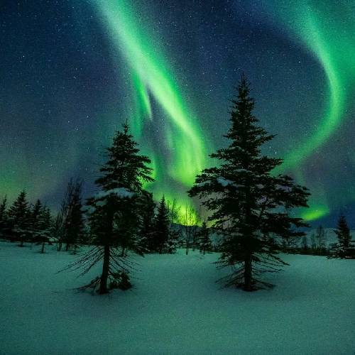 سجاد رشیدی و ناو زندگیم ای یه دفع عاشق بیم